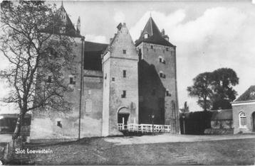 (381-307-045) Slot Loevestein beschikbaar voor biedingen