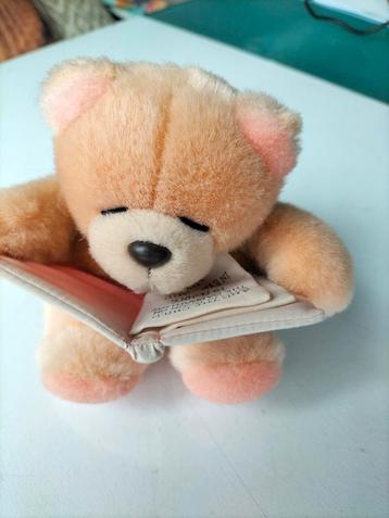 Forever Friends Beertje met Boek - Knuffel beschikbaar voor biedingen