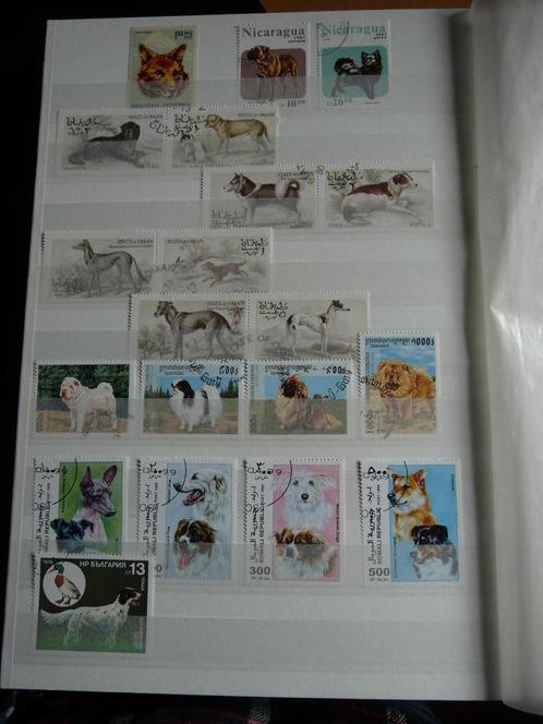 Kavel postzegels gestempeld met Honden., Postzegels en Munten, Postzegels | Thematische zegels, Gestempeld, Dier of Natuur, Ophalen of Verzenden