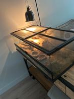 Gekkos, Dieren en Toebehoren, Ophalen, Zo goed als nieuw, Terrarium of Paludarium