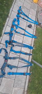 Schroth gordels 4 stuks racegordels, Ophalen of Verzenden