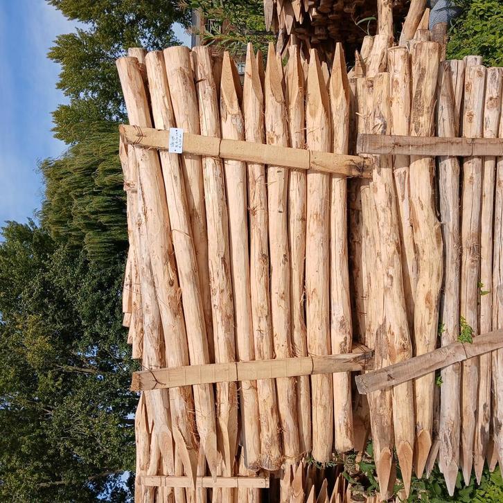 palen, weidepaal,  afrasteringspaal, boompaal Acacia hout, Tuin en Terras, Schuttingen, Zo goed als nieuw, Hout, 1 tot 2 meter