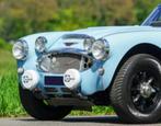 Austin Healey onderdelen, Auto-onderdelen, Carrosserie en Plaatwerk, Ophalen of Verzenden, Voor, Austin, Motorkap