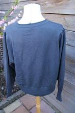 Vest donkerblauw Jensen mt 2Xl Vaste prijs, Kleding | Dames, Jensen, Blauw, Maat 46/48 (XL) of groter, Ophalen of Verzenden