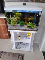 Aquarium met meubel, Dieren en Toebehoren, Vissen | Aquaria en Toebehoren, Ophalen, Zo goed als nieuw, Leeg aquarium