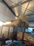 Hooipakken Augustus 2025, Zakelijke goederen, Agrarisch | Aardappelen, Groenten, Fruit en Vlees, Ophalen of Verzenden