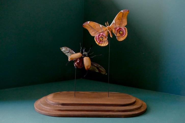 Glazen stolp, houten voet. Gevuld met echte vlinder en kever, Huis en Inrichting, Woonaccessoires | Stolpen, Nieuw, Ophalen of Verzenden