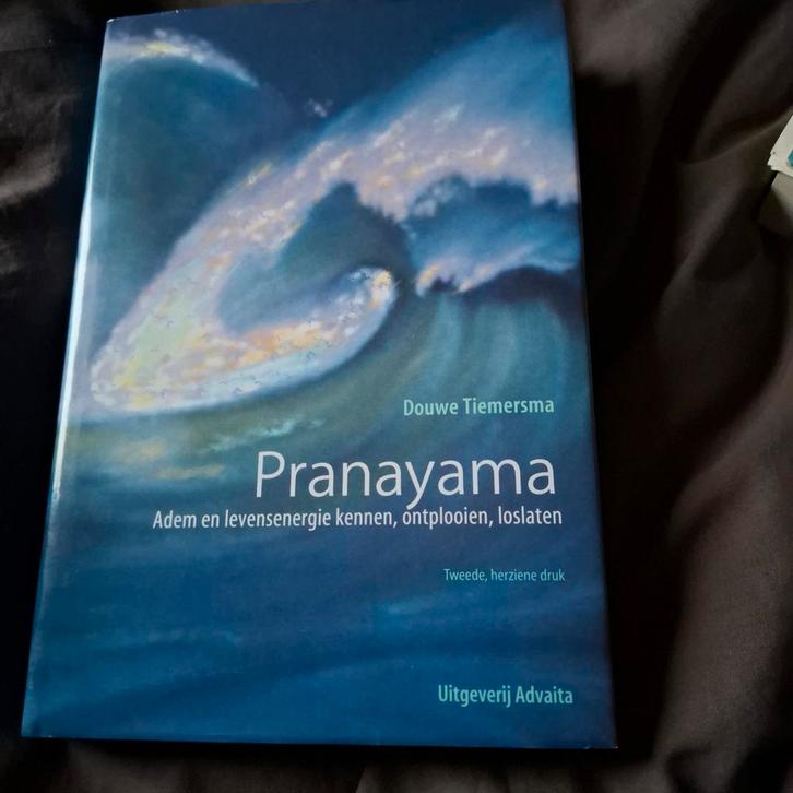 D. Tiemersma - Pranayama, Boeken, Esoterie en Spiritualiteit, Zo goed als nieuw, Instructieboek, Overige onderwerpen, Ophalen of Verzenden
