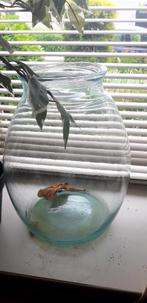 Grote   glazen vaas, Overige kleuren, Ophalen of Verzenden, Minder dan 50 cm, Glas