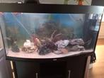 Aquarium juwel vision 260 liter Ledverlichting, Ophalen, Gebruikt, Leeg aquarium