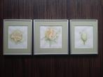 Drie aluminium schilderijlijsten met passe-partout, Minder dan 50 cm, Metaal of Aluminium, Ophalen of Verzenden, Zo goed als nieuw