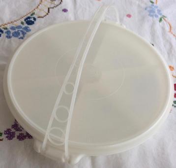 Tupperware opdienschaal met zes vakken, deksel en hengsel beschikbaar voor biedingen