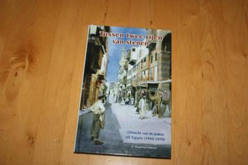 Tussen twee rijen van stenen, R Hoogerwerf-Holleman beschikbaar voor biedingen