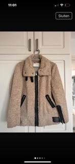 Zara stoere teddy jas izgst maat 38, Ophalen, Zo goed als nieuw, Maat 38/40 (M), Zwart