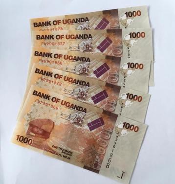 Uganda 5 bankbiljetten 1000 shillings  beschikbaar voor biedingen