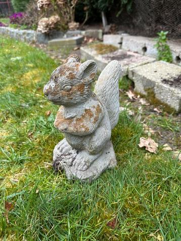 Eekhoorn tuin beeld beschikbaar voor biedingen