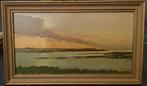 Het Zwin bij Cadzand (Zeeland) 1978 , olieverf op paneel RvG, Antiek en Kunst, Ophalen of Verzenden