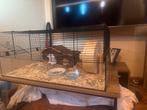 Hamster, Dieren en Toebehoren, Knaagdieren en Konijnen | Hokken en Kooien, Minder dan 60 cm, Kooi, Minder dan 75 cm, Ophalen of Verzenden