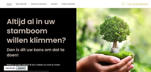 Stamboom, Boeken, Geschiedenis | Stad en Regio, Nieuw, 20e eeuw of later, Verzenden