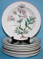 Villeroy & Boch " Botanica " Dieppeborden, Huis en Inrichting, Keuken | Servies, Ophalen of Verzenden, Zo goed als nieuw, Bord(en)