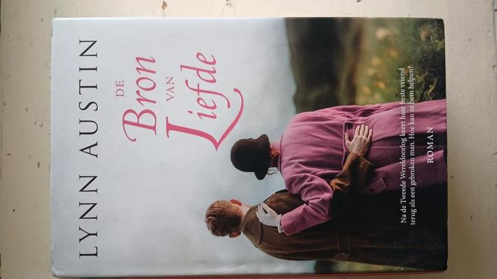Lynn Austin - De bron van liefde, Boeken, Literatuur, Zo goed als nieuw, Nederland, Ophalen of Verzenden