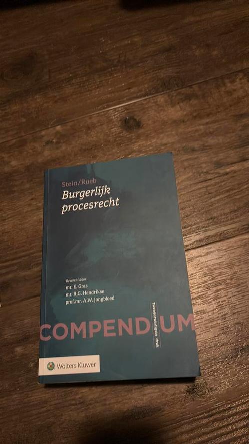 Stein/Rueb - Compendium Burgerlijk procesrecht 22e druk, Boeken, Studieboeken en Cursussen, Zo goed als nieuw, WO, Alpha, Ophalen of Verzenden