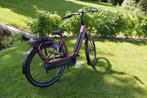 Demo Gazelle Avignon Framemaat 53 cm 625 WH accu, Zo goed als nieuw, Gazelle
