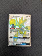 Scizor GX Shiny #SV72 Pokemon Hidden Fates, Hobby en Vrije tijd, Verzamelkaartspellen | Pokémon, Ophalen of Verzenden, Zo goed als nieuw