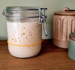 Zuurdesem starter, Diversen, Levensmiddelen, Ophalen