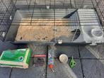 Te Koop : Konijnen / Cavia  kooi  en toebehoren, Dieren en Toebehoren, Kooi, 110 cm of meer, Cavia, Ophalen