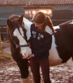 Stalhulp aangeboden, Vacatures, Overige uren, Vanaf 5 jaar, Overige vormen, Geschikt als bijbaan