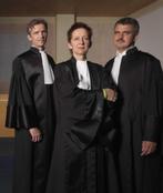 DVD DE VREEMDELINGENRECHTER THE IMMIGRATION JUDGE idfa, Alle leeftijden, Verzenden, Nieuw in verpakking, Politiek of Geschiedenis