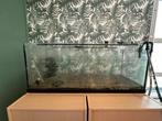 Groot aquarium, Dieren en Toebehoren, Vissen | Aquaria en Toebehoren, Ophalen, Gebruikt, Leeg aquarium