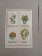 Oude Kinderpostzegels kaart - Bloemen & Fruit, Ophalen of Verzenden