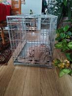 Bench hond, Ophalen of Verzenden, Zo goed als nieuw