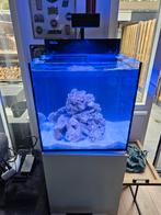 Redsea nano aquarium te koop (leeg!), Dieren en Toebehoren, Zo goed als nieuw, Ophalen