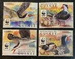 WWF BIRDS = SCHAARBEK = sv4st GUINEE-004, Postzegels en Munten, Postzegels | Thematische zegels, Dier of Natuur, Verzenden, Postfris