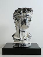 Vintage buste "David" van Michelangelo., Ophalen of Verzenden