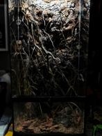 Groot exo terrarium 45x45x90, Ophalen, Zo goed als nieuw, Terrarium of Paludarium