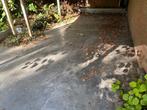 Natuursteen tegels 80x80 x 3cm (>20m²), Ophalen, Zo goed als nieuw, Terrastegels, Natuursteen