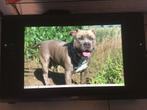 Wacom cintiq 24 HD teken en bewerking tablet, Computers en Software, Tekentablets, Ophalen, Zo goed als nieuw