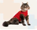 Medical pet shirt kat, Ophalen of Verzenden, Nieuw