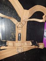 Petlando Hondentuig, Dieren en Toebehoren, Ophalen of Verzenden