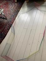 Cavia ren, Dieren en Toebehoren, Cavia, Ren, Ophalen, Minder dan 60 cm