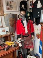 Schotse  Highlander, Ophalen, Overige soorten, Engeland, Overige typen
