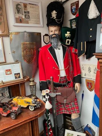 Schotse  Highlander beschikbaar voor biedingen