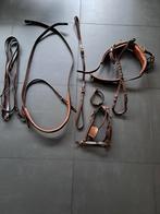 Bruin mentuig te koop, Dieren en Toebehoren, Ophalen of Verzenden, Zo goed als nieuw