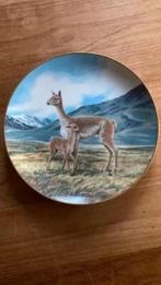 Wandbord : Will Nelson - lama : serie bedreigde diersoorten, Ophalen of Verzenden