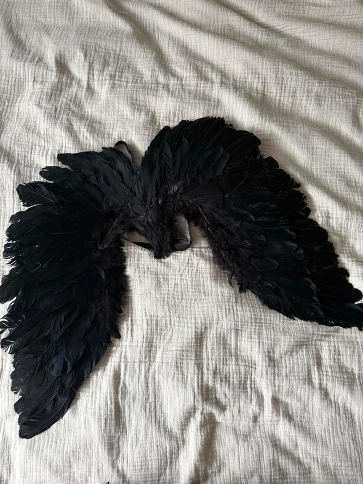 Vleugels Kostuum Accessoire, Kleding | Dames, Carnavalskleding en Feestkleding, Zo goed als nieuw, Accessoires, Carnaval, Ophalen
