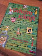W. van der Meiden - Geheimschrift, Ophalen of Verzenden, Zo goed als nieuw, W. van der Meiden